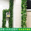 电线装饰美化绿色叶子藤蔓假绿萝仿真藤条植物，燃气暖气空调管遮挡