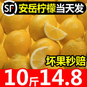 四川安岳柠檬新鲜皮薄一级新鲜水果当季整箱，同城黄柠檬酸