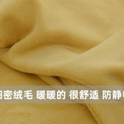 天鹅绒床笠单件冬季加厚保暖牛奶绒榻榻米防滑固定床套珊瑚绒床罩
