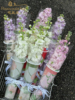 母亲节花海系列包装纸 鲜花包装背景纸花卉氛围纸花艺礼物