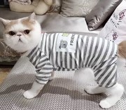 猫咪衣服四脚防掉毛睡衣夏季款英短蓝猫布偶，猫幼猫宠物狗狗家居服