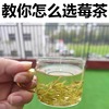 张家界正宗莓茶野生龙须藤茶永顺芽尖霉茶土家特产湘西长寿养生茶