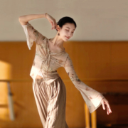 古典舞印花长袖上衣中国舞，舞蹈服现代舞练功服形体，服套装艺考演出