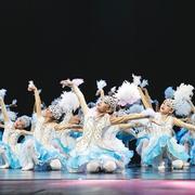 新第九届小荷风采向天歌儿童舞蹈服新疆舞演出服六一蓬蓬裙
