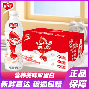 银鹭花生牛奶450ml*15瓶整箱早餐奶营养，复合双蛋白饮料