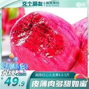 本来果坊越南红心火龙果大果 4.5-5斤单果400g+ 果肉鲜嫩多汁