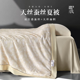 2025新品夏凉被 莱赛尔天丝蚕丝被100桑蚕丝夏被可水洗邵氏