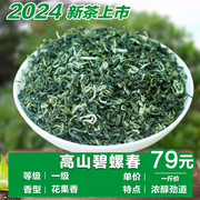 2024云雾香茶明前绿茶，高山碧螺春茶叶浓香型，炒青茶叶散装茶