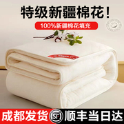 新疆棉花床垫褥子垫被家用全棉软垫宿舍学生单人冬季加厚棉絮垫子