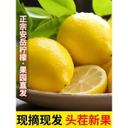 四川安岳柠檬应季新鲜水果皮薄10斤香水，黄柠檬(黄柠檬，)奶茶店专用非青皮