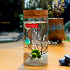 marimo温馨梦境幸福海藻球苔藓，创意盆栽微景观，生态瓶diy礼物
