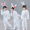 儿童小兔子演出服小白兔子动物，表演服装幼儿园，舞台舞蹈纱裙