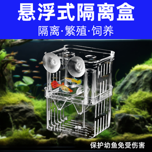 孔雀鱼繁殖盒幼鱼鱼缸隔离斗鱼鱼苗产卵器热带鱼，亚克力隔离孵化盒