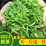 茶叶买一斤送一斤信阳毛尖2023新茶雨前春茶散装绿茶叶1000g