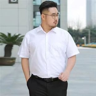 商务正装特大码短袖衬衫男士，薄款修身工作装纯色加肥宽松胖子衬衣