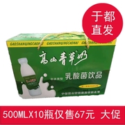 江西赣州于都特产高山青草牛奶低脂发酵型500mlX10瓶乳酸菌