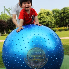 感统100cm加厚 防爆健身球瑜伽球大龙球 宝宝感统训练球康复