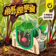 科答鸭阳光种植房儿童，科学小实验套装水培植物，生长根系观察盒玩具