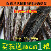 特级香草荚18-19cm 50g 保真马达加斯加烘培咖啡用香草精豆荚夹