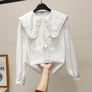 白色娃娃领衬衫女2023年春季日系大翻领系带，衬衣纯棉宽松上衣
