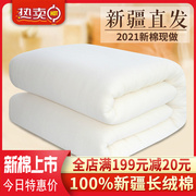 新疆棉被棉花被芯床垫全棉被子棉絮加厚被褥冬被保暖单人纯手工