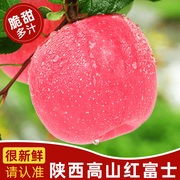 陕西高山红富士苹果水果新鲜当季整箱冰糖心一级脆甜平果10斤