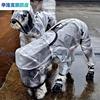 狗狗雨衣升级款四脚防水全包泰迪宠物中大型犬小型犬透明反光雨衣