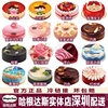 深圳哈根达斯冰淇淋生日蛋糕 配送货 速递多款 蛋糕外送 专人同城