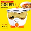 delan德朗md-01玻璃电炖锅，预约炖汤锅，砂锅煲汤养生锅大3l慢炖锅