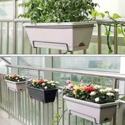 阳台种菜盆种植箱家庭草莓，盆长条长方形，花槽塑料花盆霍伦盆