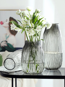 大号玻璃花瓶透明水养富贵竹百合，花瓶摆件客厅，插鲜花干花北欧家用