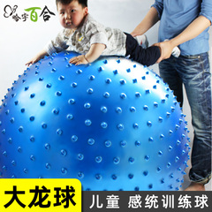 哈宇100cm防爆健身球大龙球瑜伽球宝宝感统训练儿童环保按摩球