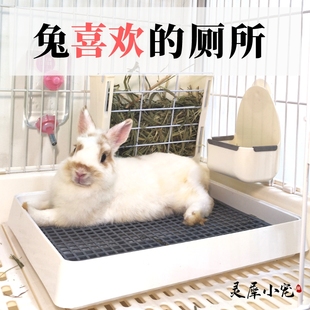 兔兔专用宠物兔子厕所，大号屎盆荷兰猪天竺鼠尿盆，豚鼠便盆用品大码