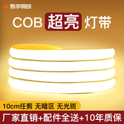 灯带led灯条客厅吊顶，防水户外自粘220v超亮款线型cob鞋柜衣柜插电