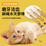 猫咪磨牙棒木天蓼猫玩具洁齿猫零食逗猫棒解闷神器猫草小幼猫用品