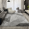 侘寂风客厅地毯卧室，家用2024轻奢简约现代沙发茶几床边毯地垫