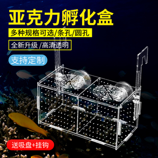 鱼缸隔离盒孔雀鱼繁殖盒透明亚克力孵化盒保护乌龟小鱼苗幼鱼产房
