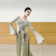 古典舞印花长袖上衣中国舞舞蹈，服现代舞练功服形体，服套装艺考演出