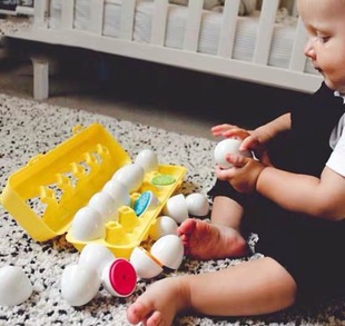 锻炼动手能力宝宝仿真鸡蛋形状配对玩具1-3岁颜色认知教具12颗装