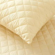 蕾丝夹棉床裙单件裙式加厚防滑b保护床套防尘罩花边床单床罩床群