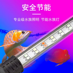 鱼缸灯led灯水族箱观赏鱼照明灯管三基色小型防水潜水灯超亮增艳