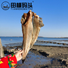 海兔子鱼 海狮鱼片 水产干货海鲜海兔子鱼片先生鱼干500g