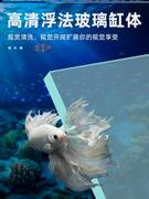 1米长的鱼缸25cm客厅中型阳台一体水族箱鱼缸长条型生态缸金鱼缸