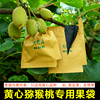 黄心猕猴桃套袋纸袋专用果袋金艳金果单层加厚防虫桃袋枇杷袋