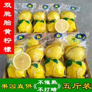 四川安岳双胞胎黄柠檬(黄柠檬)当季新鲜水果奶，茶店直供皮薄非青柠整箱