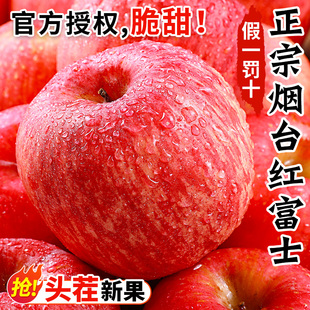 山东烟台红富士10斤苹果水果，新鲜整箱应当季冰糖心栖霞平果5