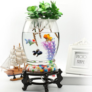 金鱼缸(金鱼缸)圆形客厅，办公桌面小型迷你创意，生态水族箱家用水培玻璃鱼缸
