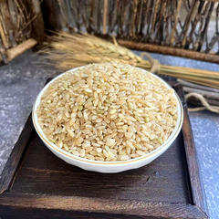 农家糙米2500g五斤玄米杂粮发芽米