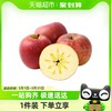 云南丑苹果富士冰糖心苹果3/5斤单果75mm+新鲜水果整箱