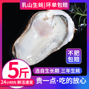 乳山生蚝鲜活5斤海鲜水产新鲜海蛎子带壳牡蛎超特大10斤